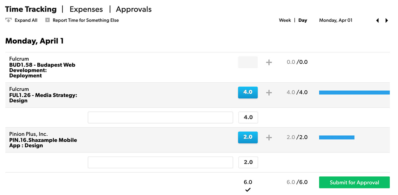 This images shows track time in day view.