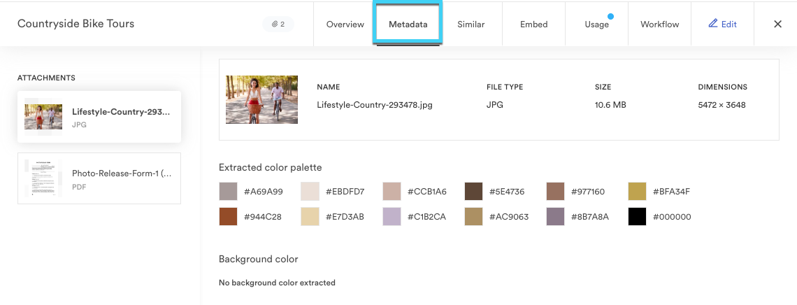 This image shows the metadata tab of the asset modal.