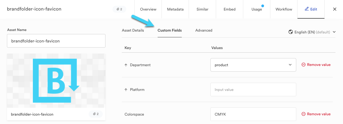 This image shows the custom fields tab within the edit tab of the asset modal.